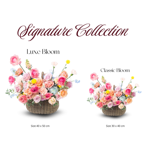 Signature Color Arrangement